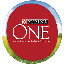 Purina One Dog