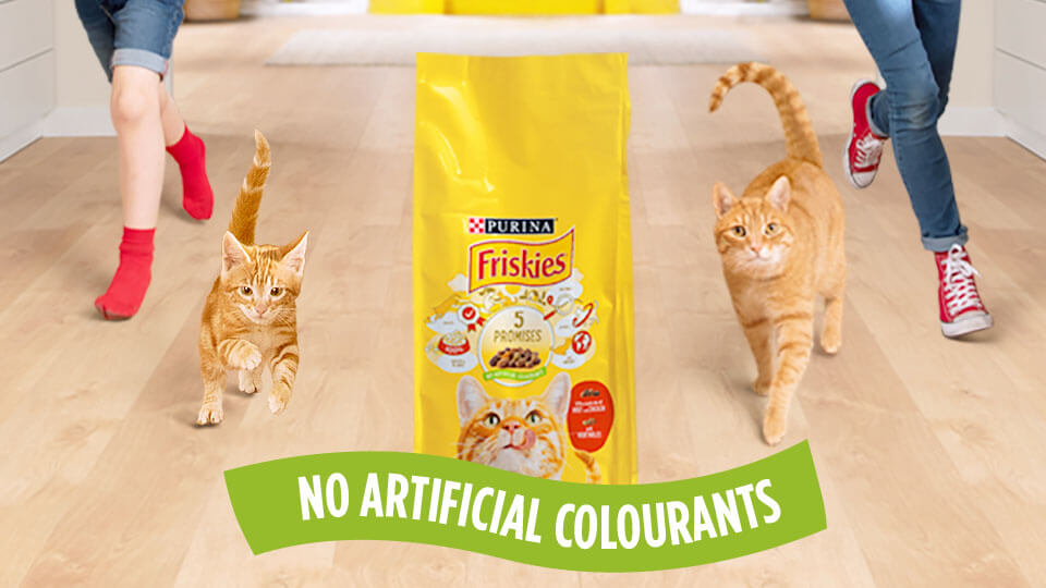 Friskies® hrana za mačke
