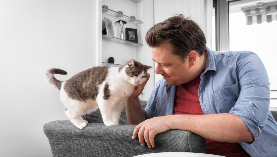 Čovjek miluje lice svoje mačke dok ona stoji na naslonjaču sofe