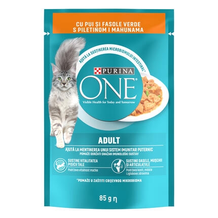 Purina One 