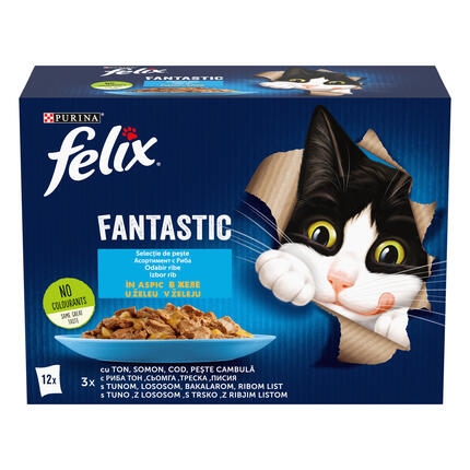 felix fantastic