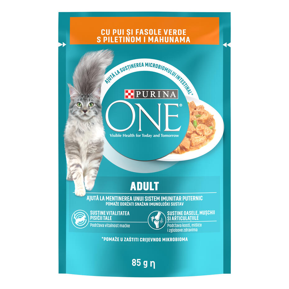 Purina One