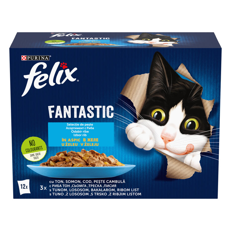 felix fantastic