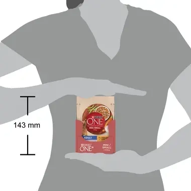 Purina One Adult