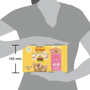 Friskies junior
