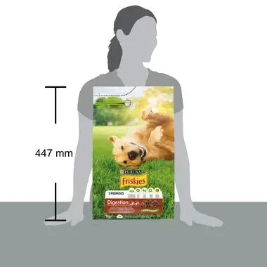 Friskies Digestion