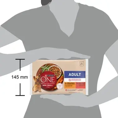 Purina One Adult