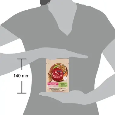 Purina One Weight Control