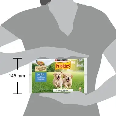 Friskies junior