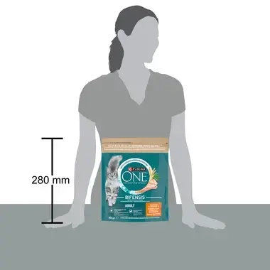 Purina One 
