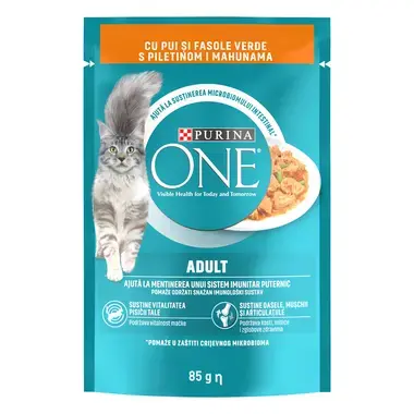 Purina One 