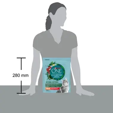 Purina One 