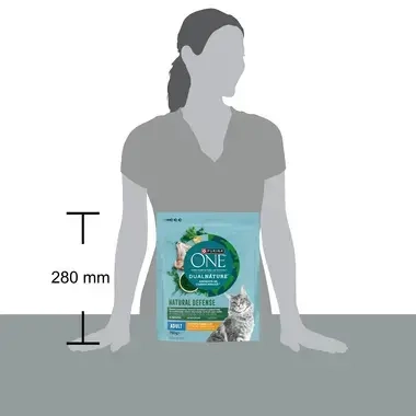 Purina One 