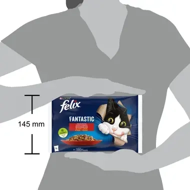 felix fantastic