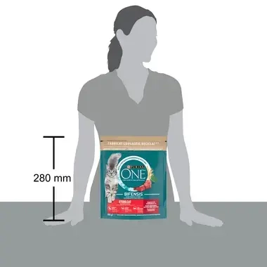 Purina One 