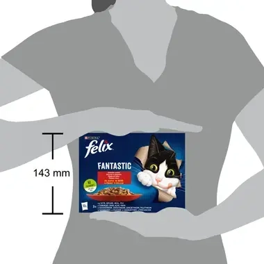 felix fantastic