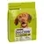 DOG CHOW Adult, srednja veličina, s piletinom, suha hrana za pse