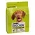 DOG CHOW Adult, srednja veličina, s janjetinom, suha hrana za pse