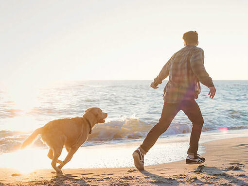 Čovjek i pas trče na plaži