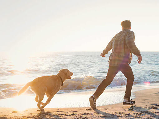 Čovjek i pas trče na plaži
