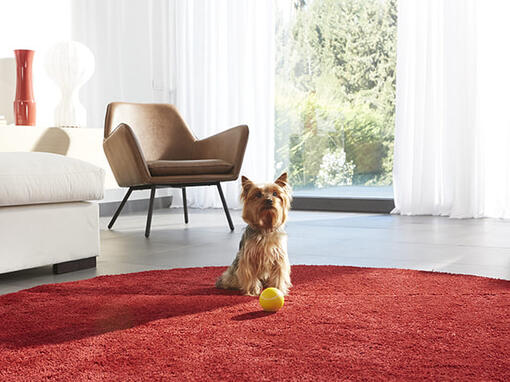 Purina One mini