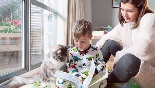 Dječak s mačkom čita knjigu