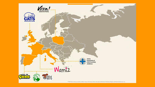 Karta Europe s dobrotvornim organizacijama za posvajanje
