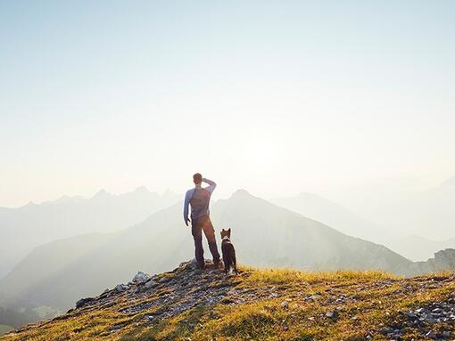 Naše prethodne obaveze "Purina u društvu"