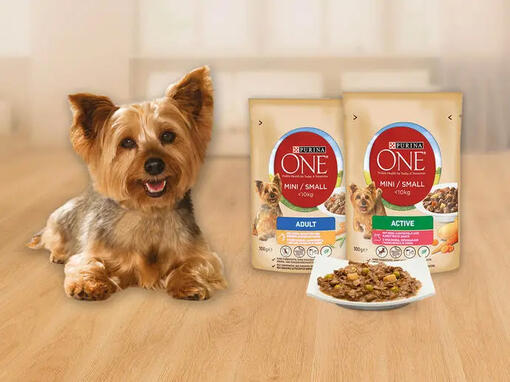 Otkrijte Purina ONE Dog Mini mokru hranu