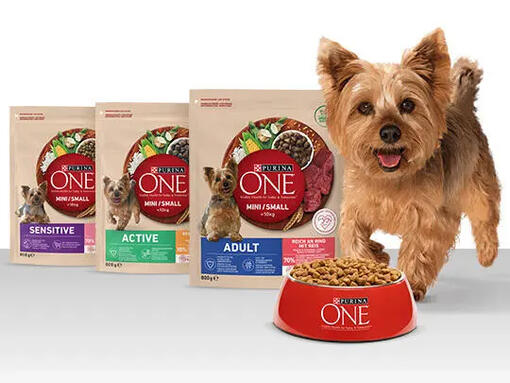 Otkrijte Purina ONE Dog Mini suhu hranu