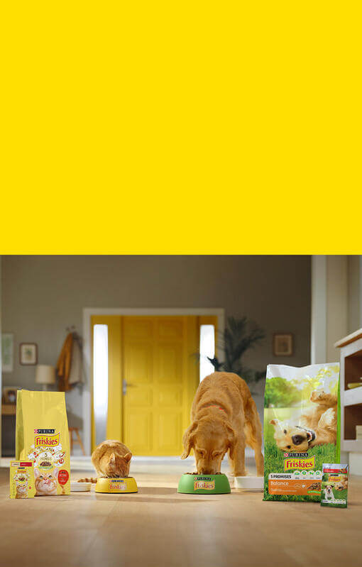 Friskies cat and dog
