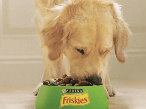Friskies Psi