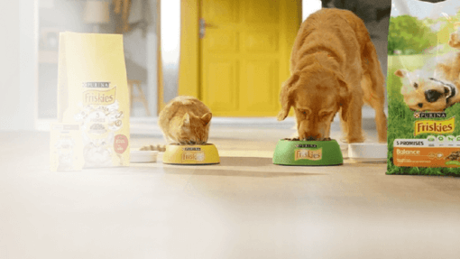 Friskies