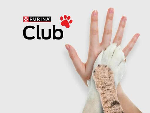 Purina Club