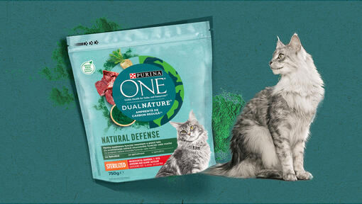 purina one
