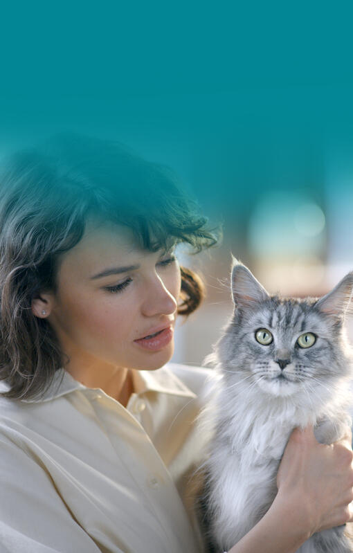 purina one