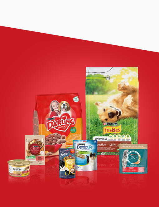 purina