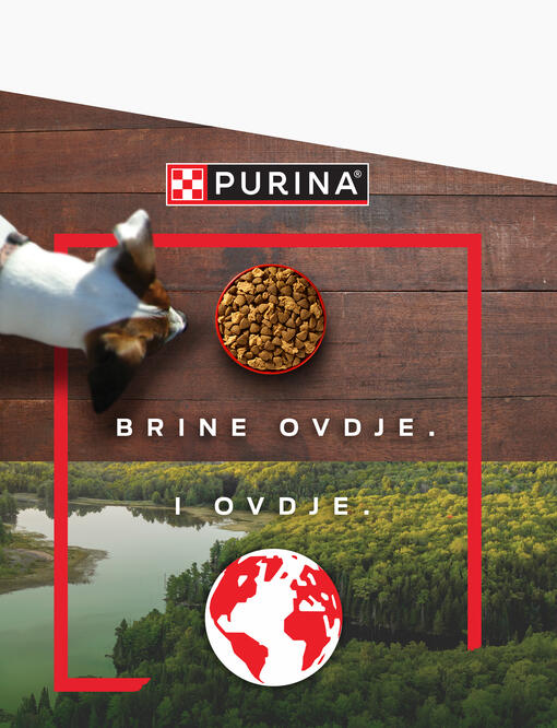 purina