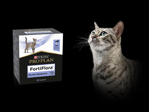 purina