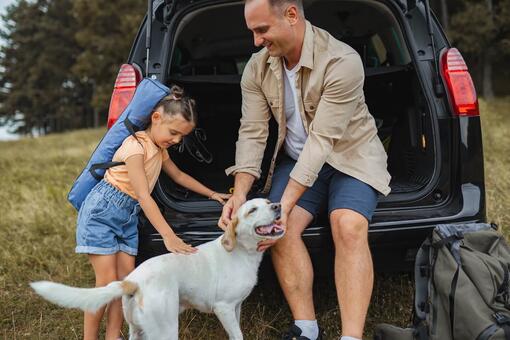 Putovanje automobilom za pse: vodič za sigurno i udobno putovanje