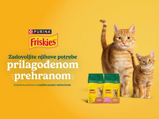 friskies cat