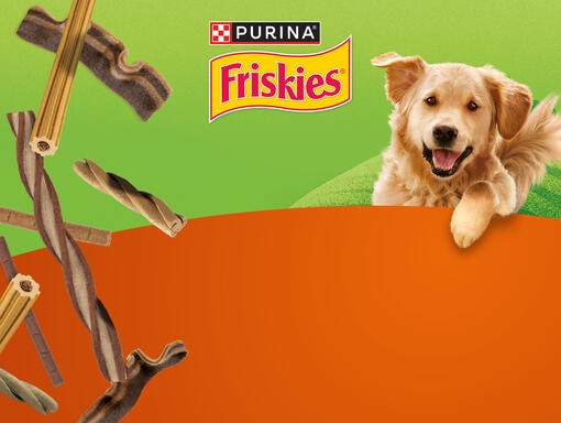 friskies dog