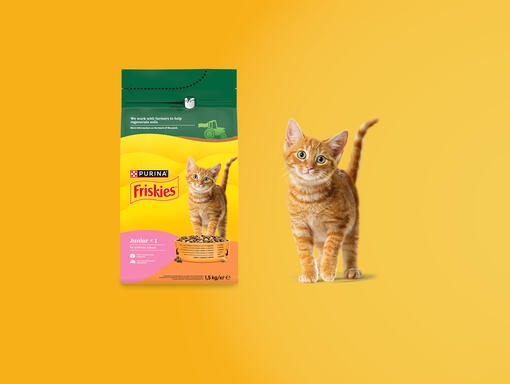 Friskies junior