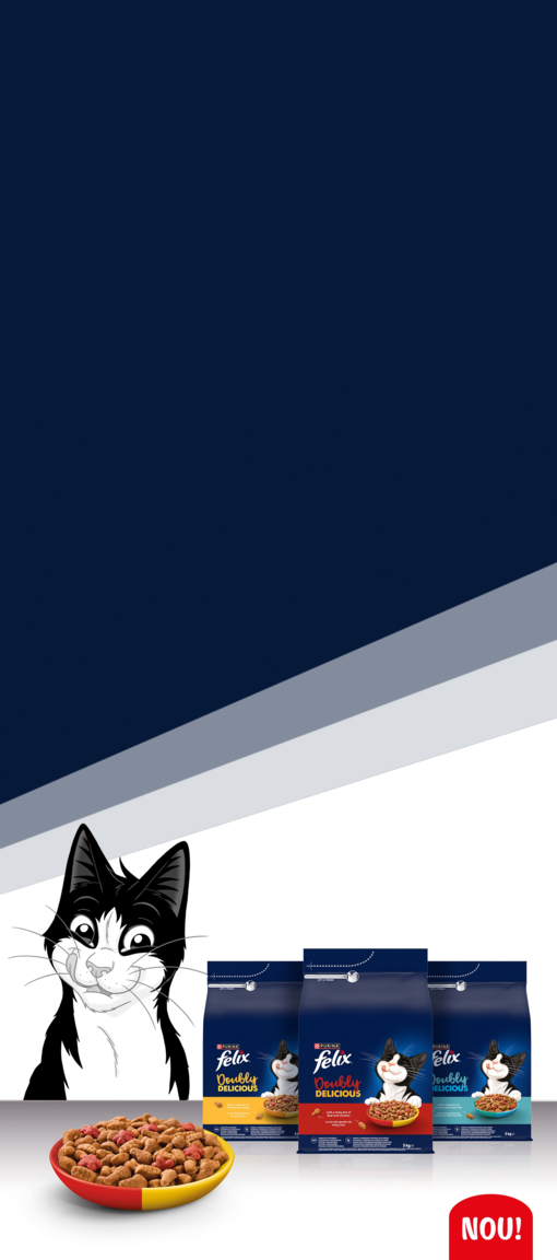 Felix background