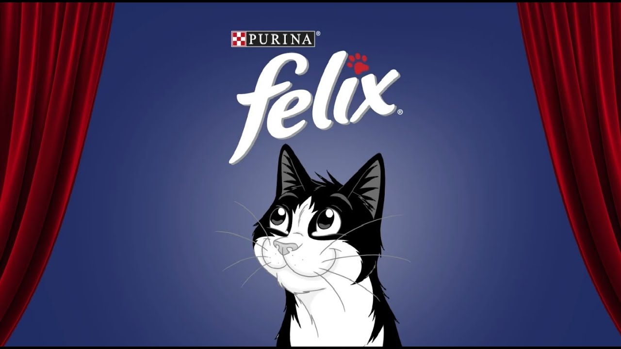 Felix i Robbie, Felixov intervju