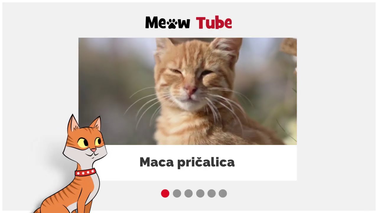 PURINA PET SCHOOL - Jezik mačaka